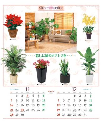 観葉植物と暮し/11月12月