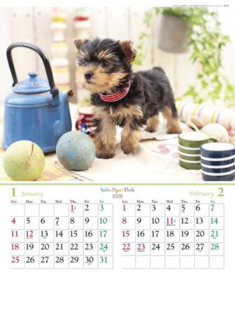 ワンニャン パーク/1月2月