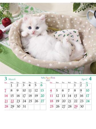 ワンニャン パーク/3月4月