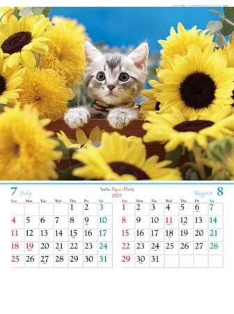 ワンニャン パーク/7月8月