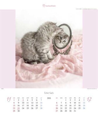 ラヴ・キャット〜レイチェル・ヘイル作品集〜-6
