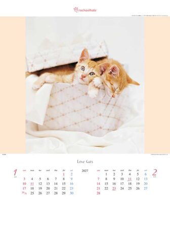 ラヴ・キャット～レイチェル・ヘイル作品集～/1月2月