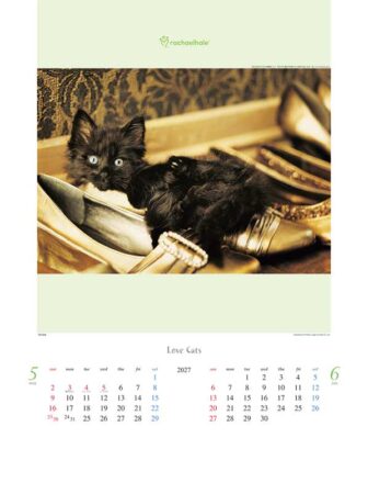 ラヴ・キャット～レイチェル・ヘイル作品集～/5月6月