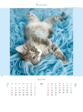 ラヴ・キャット～レイチェル・ヘイル作品集～/7月8月