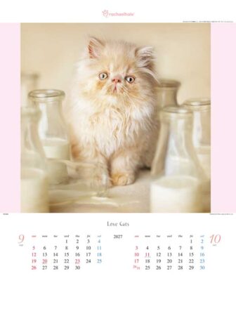 ラヴ・キャット～レイチェル・ヘイル作品集～/9月10月