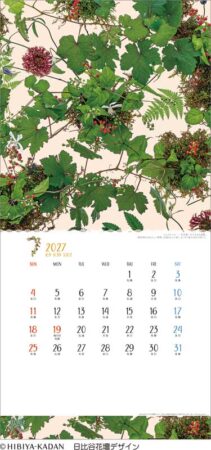 フラワー〜花のメッセージ〜/7月