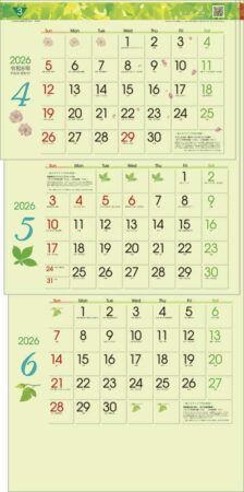 グリーン3ヶ月eco S（日付マーカー付）-上から順タイプ--2