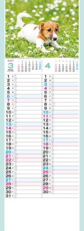 こいぬ/3月4月