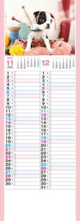 こいぬ/11月12月